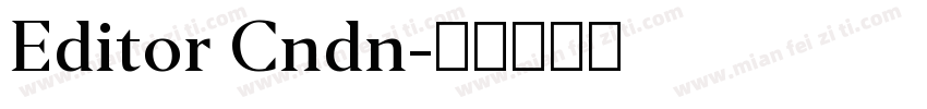 Editor Cndn字体转换